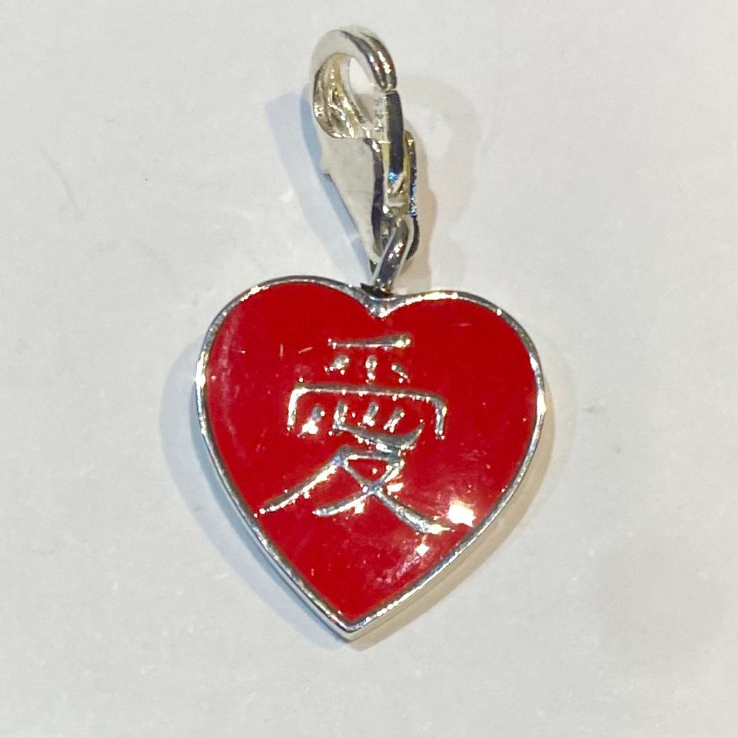 New Ladies Womens Sterling Silver Charms and Bracelet