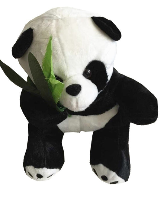 46834357